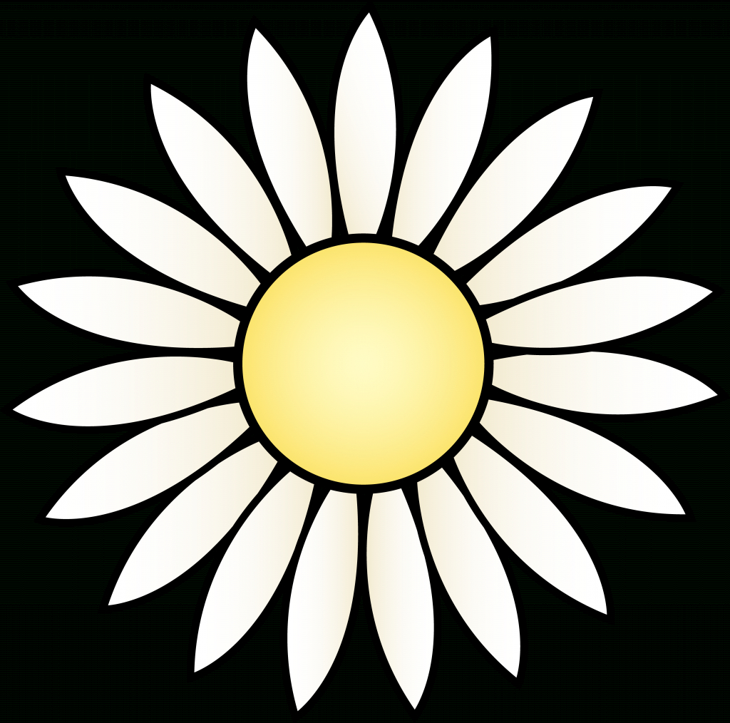 1024x1014 Flower Head Drawing White Daisy Flower