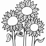150x150 Coloring Page Flowers Daisy Flower Daisy Flower Outline Coloring