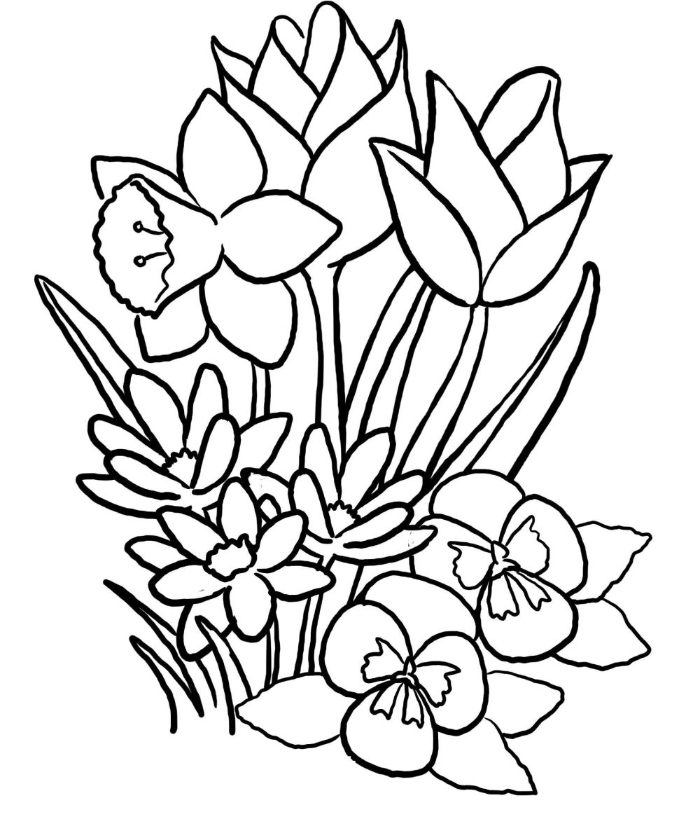 970x1169 Nature Print Flowers To Color Daisy Flower Coloring Pages Free