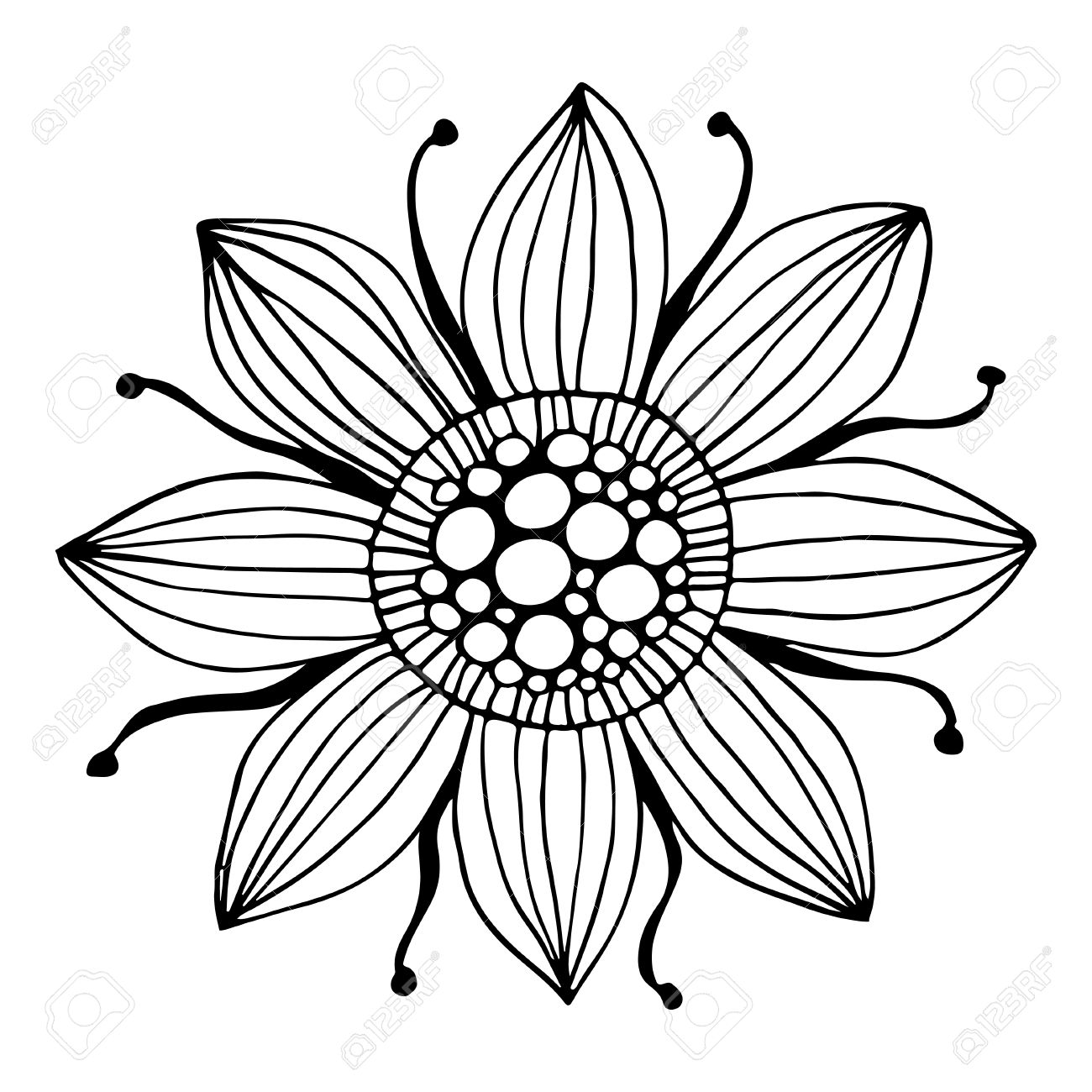 1300x1300 42139232 Zentangle Flower The Image Is Hand Drawn Black Outline