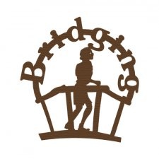 225x225 Bridging Clipart Girl Scout