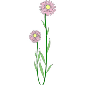 300x300 Daisy Clipart Flower Stem