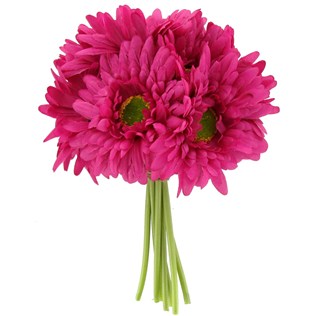316x316 Gerbera Clipart Pink Daisy