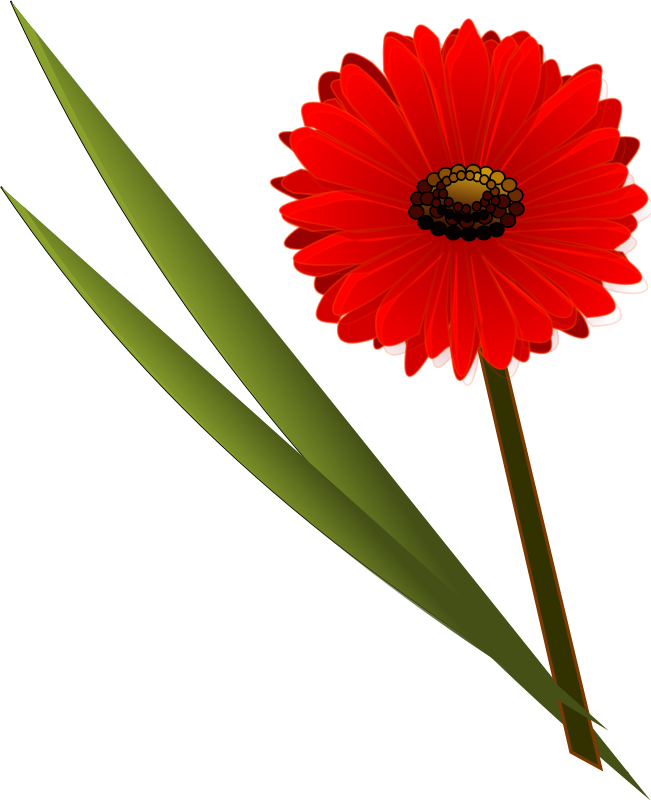 651x800 Summer Daisy Clipart, Explore Pictures