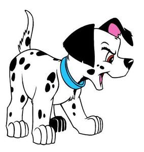 284x300 Dalmatian Ebay