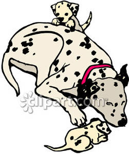251x300 Dogs, A Mother Dalmation And Her 2 Puppies Playing Royalty Free
