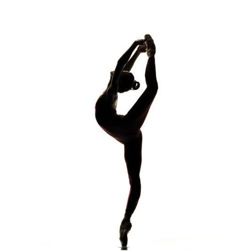 500x499 Truly Arabesque Flexible Dancer Silhouette, Ballet