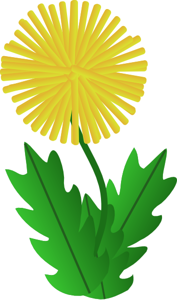 354x599 Dandelion Clip Art