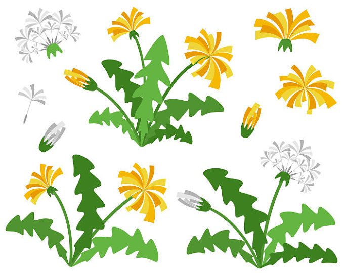 680x540 361 Best Resin Art Parts Images Appliques, Cards