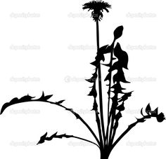 236x227 Dandelion Seeds Stock Vectors Amp Vector Clip Art Shutterstock