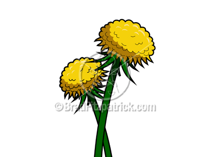 432x324 Royalty Free Dandelion Stock Illustration Cartoon Dandelion