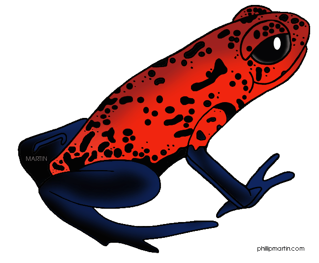 648x533 Top 98 Poison Dart Frog Clipart