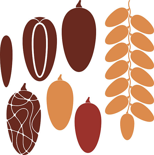 606x612 Fruit Clipart Date