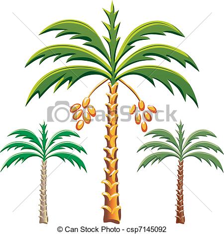 450x470 Palm Tree Clipart, Suggestions For Palm Tree Clipart, Download