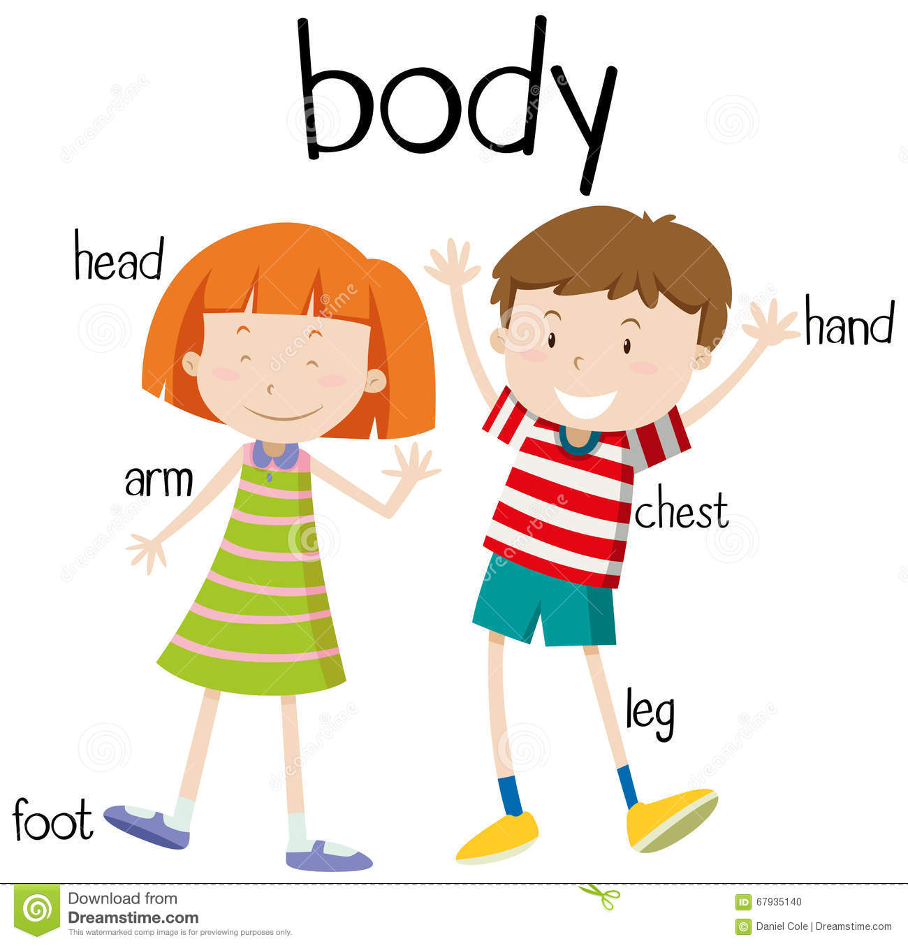 1300x1354 Body Clipart