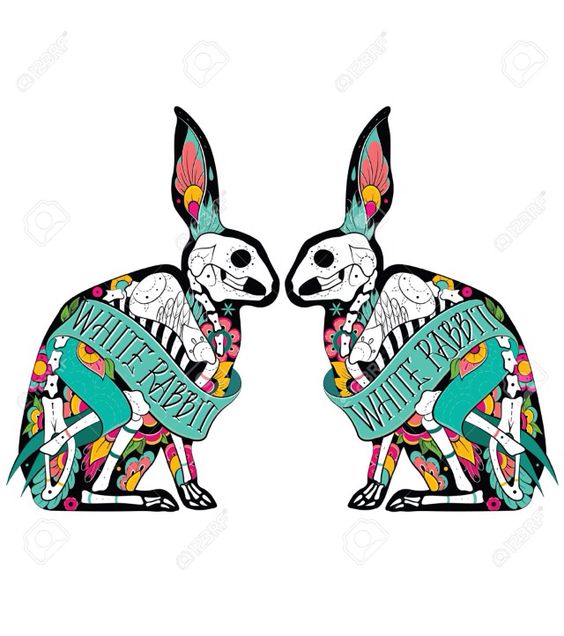 564x636 Bunny Crying