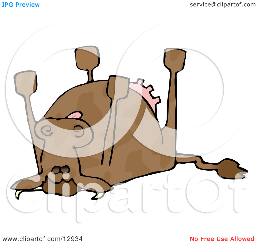1080x1024 Dead Cow Clipart