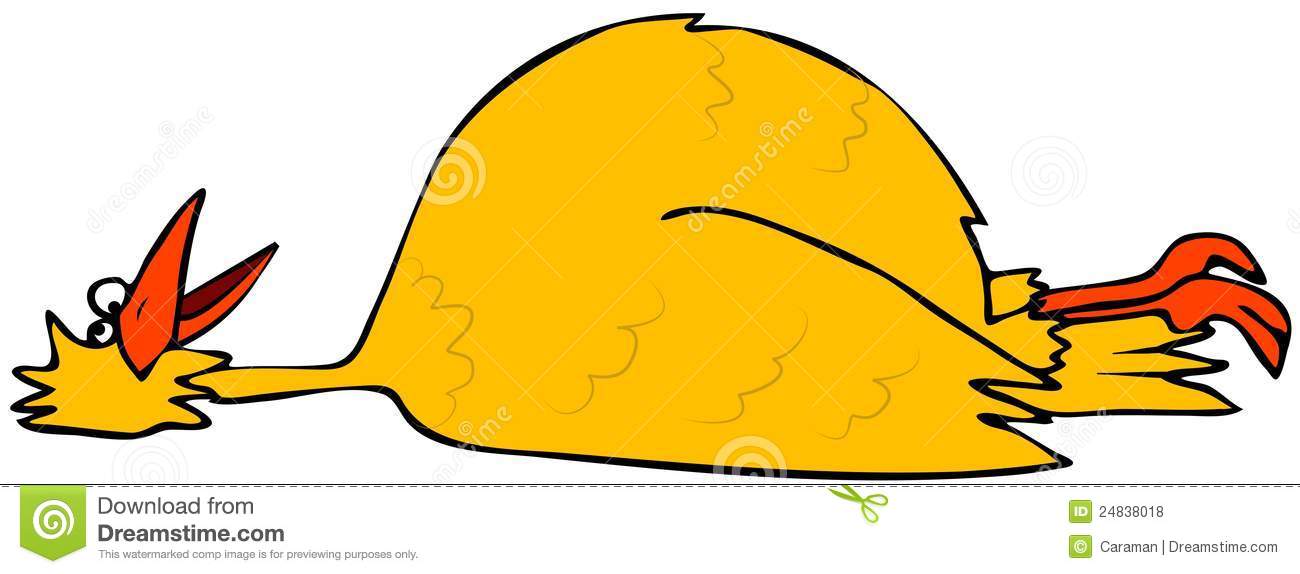 1300x574 Dead Animal Cartoon Clipart