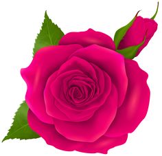 236x227 Purple Rose Png Clipart Image Roses Clipart Images