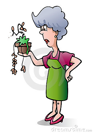 315x450 Dead Plant Clipart