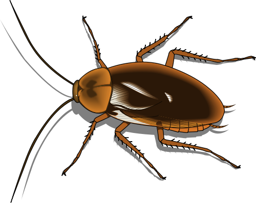 500x397 Cockroach Clipart Decomposer