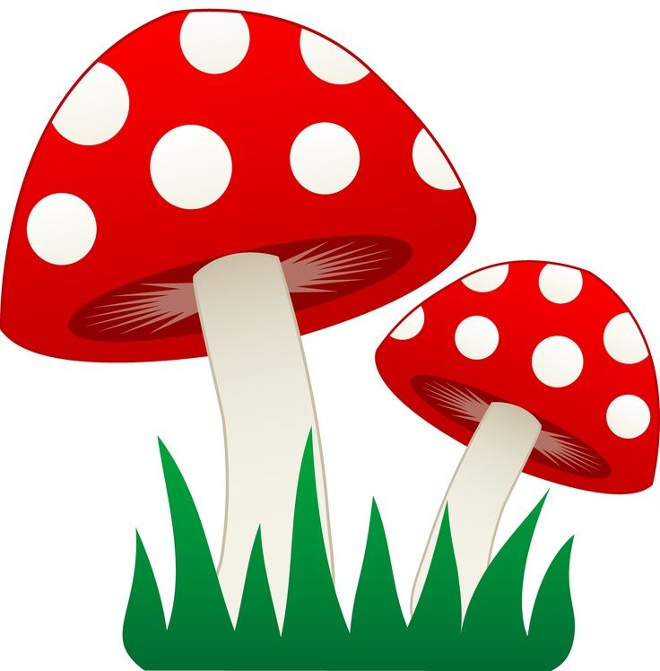 736x748 Mushroom Clipart