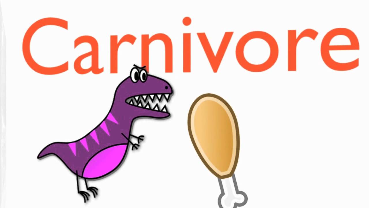 1280x720 What Is A Consumer