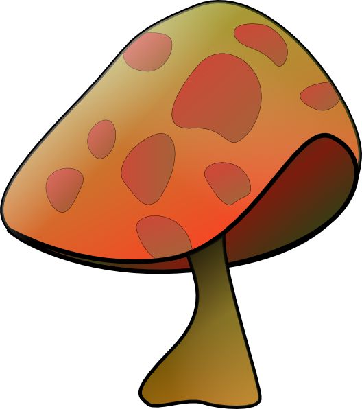528x596 Best Mushroom Clipart Ideas Mushroom Images