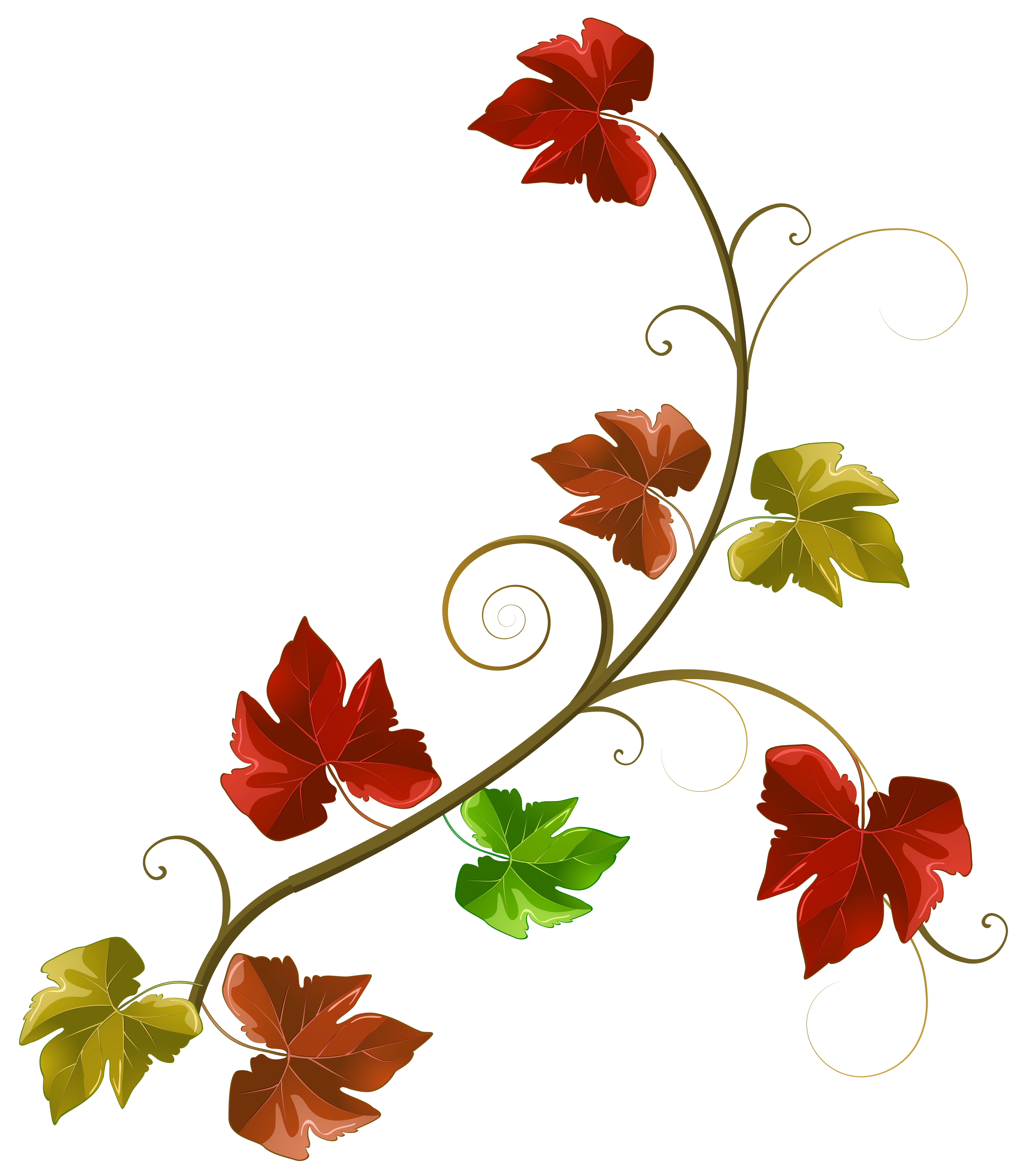 5457x6272 Clipart Decoration