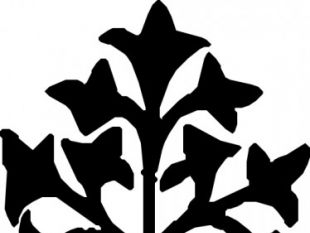 310x233 Decorative Divider Clipart Free Vectors Ui Download