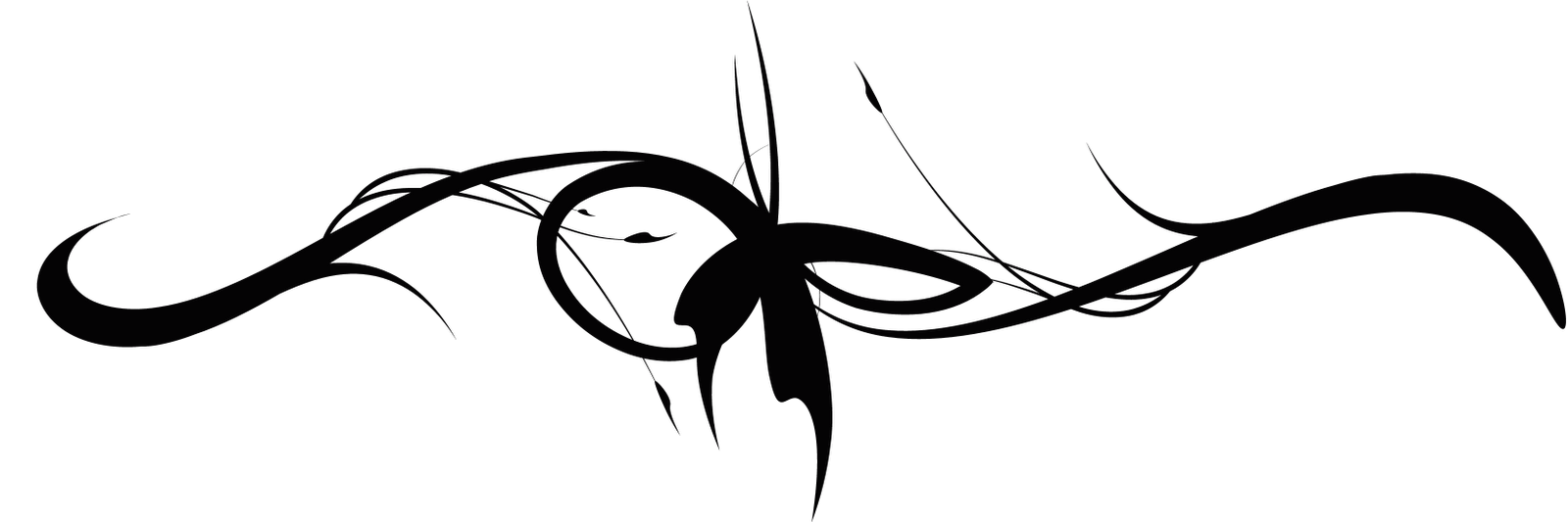 1600x533 Decorative Line Dividers