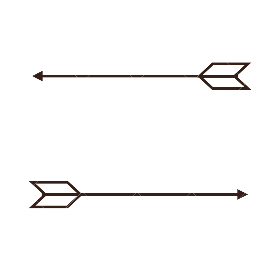 550x550 Decorative Arrows Icon