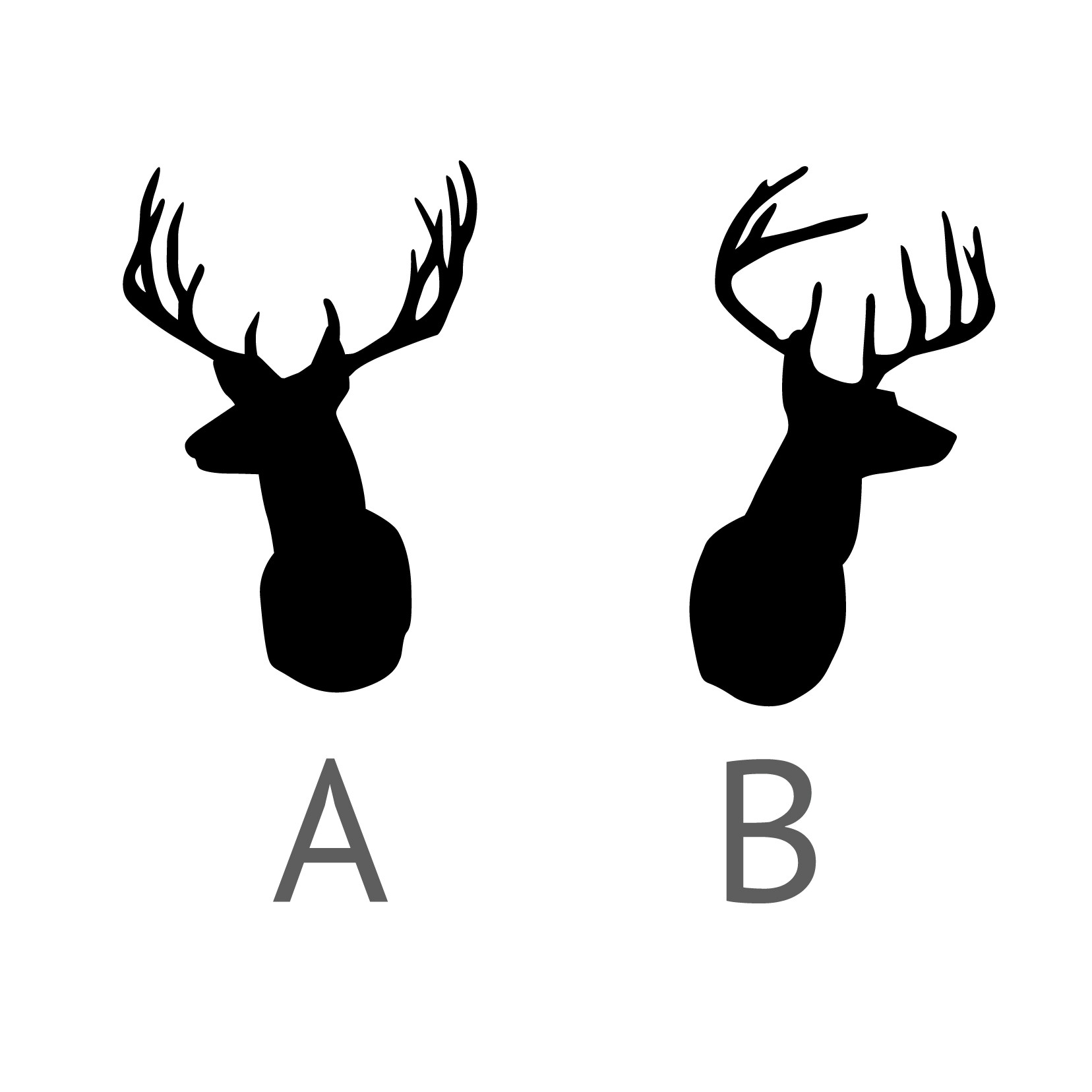 1656x1656 Buck Clipart Deer Antler