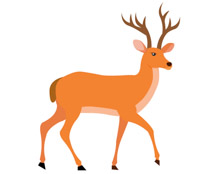 205x174 Free Deer Clipart