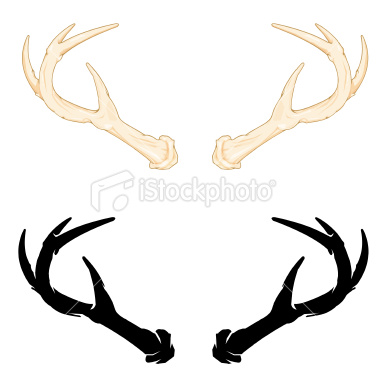 380x380 Free Antler Clip Art Clipart