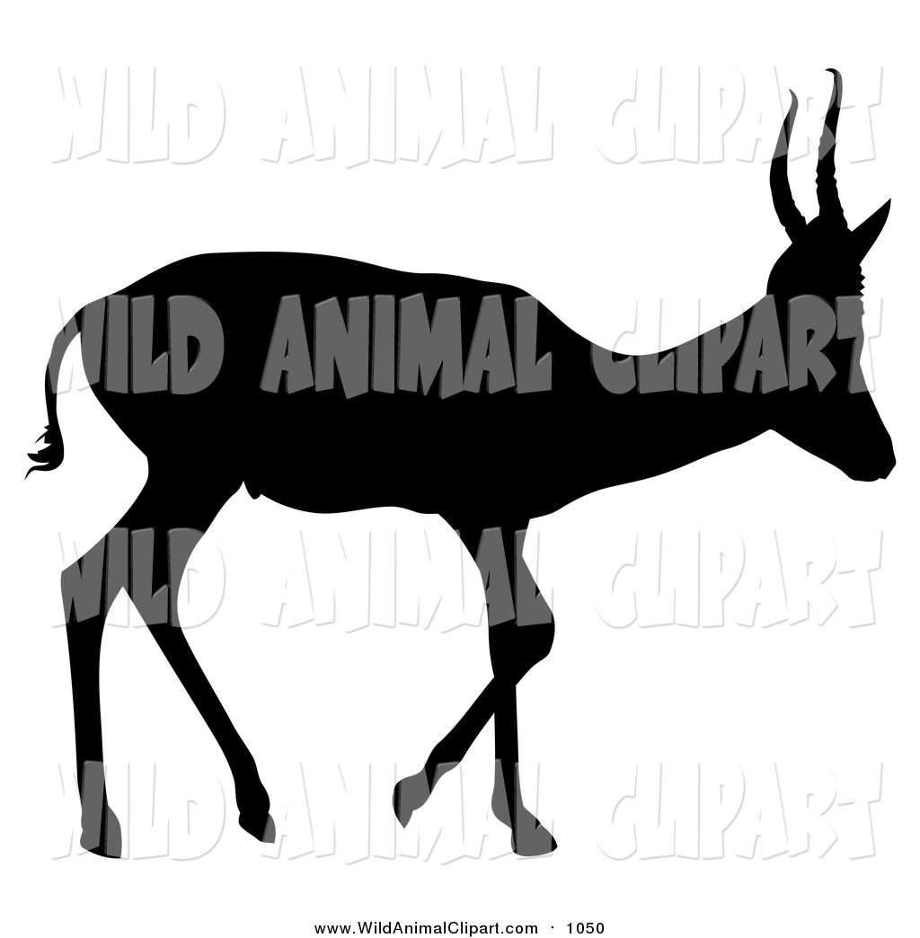 1024x1044 Royalty Free Deer Stock Wildlife Designs
