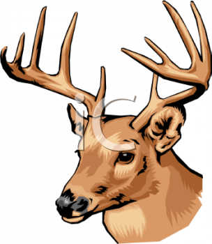 304x350 Royalty Free Elk Clip Art, Deer Clipart