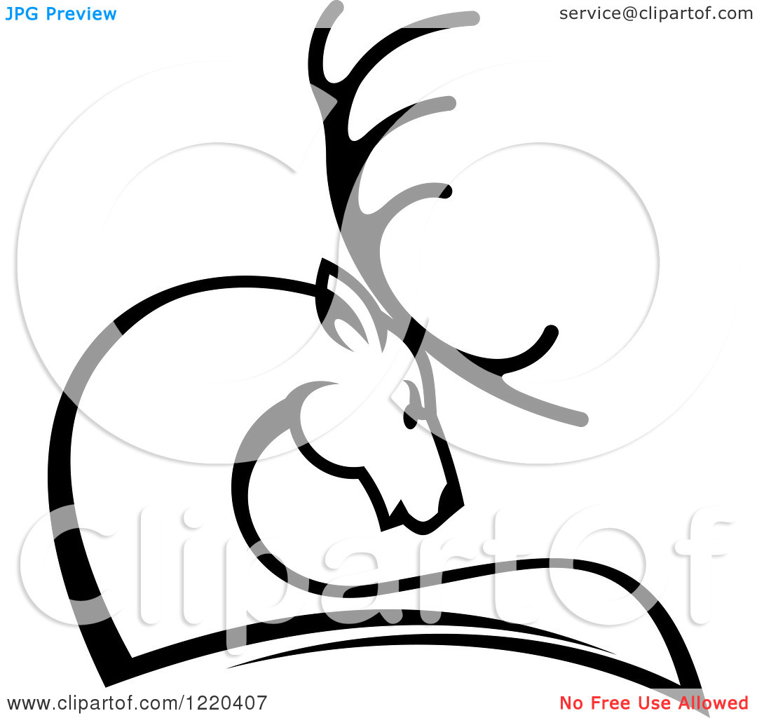 1080x1024 Antler Clipart White Deer
