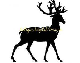 340x270 Deer Black And White Etsy