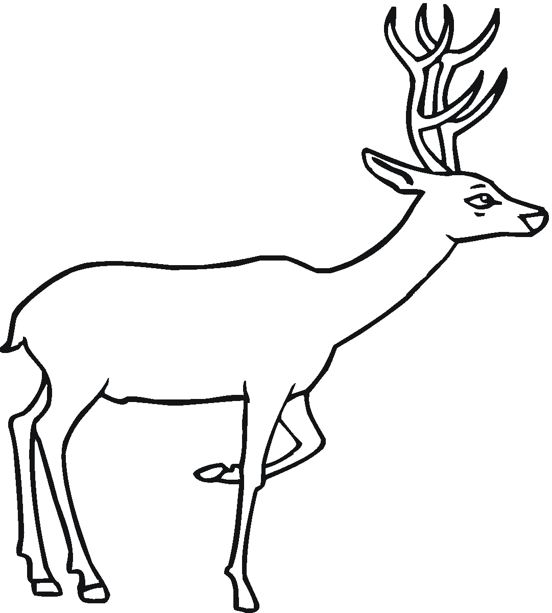 1081x1200 White Tailed Deer Clipart Black And White