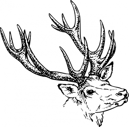 425x419 Antler Clipart Black And White