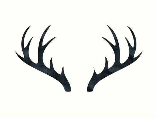 549x413 Antlers