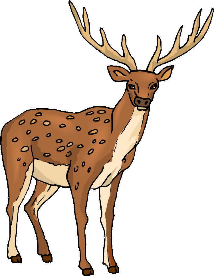 750x968 Deer Clipart Free Clip Art Images Clipartcow Clipartix 2