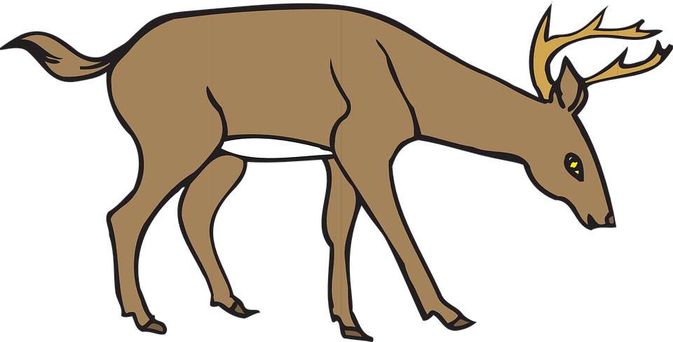 960x488 Deer Clipart Wild