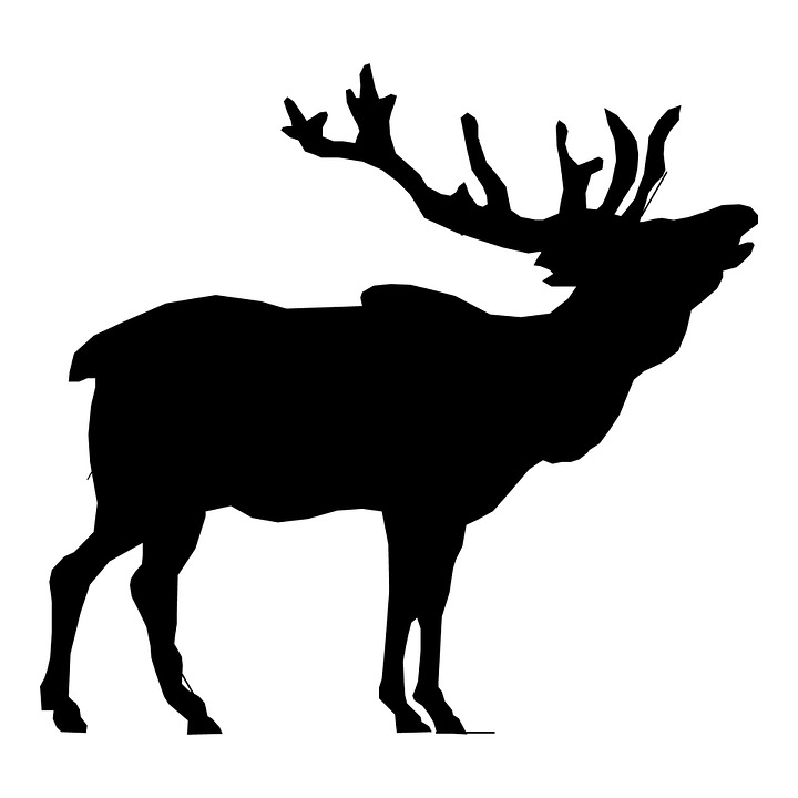 720x720 Free Illustration Elk Stag Head Deer Clip Art Image