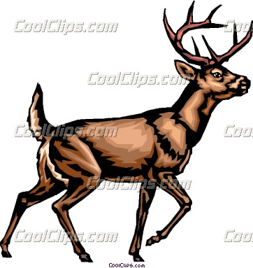 362x383 Whitetail Deer Clipart Black And White Clipart Panda