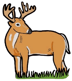 250x282 Clip Art Deer