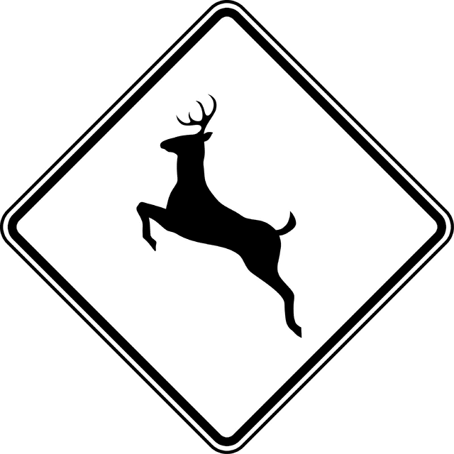 640x640 Deer Crossing, Black And White Clipart Etc