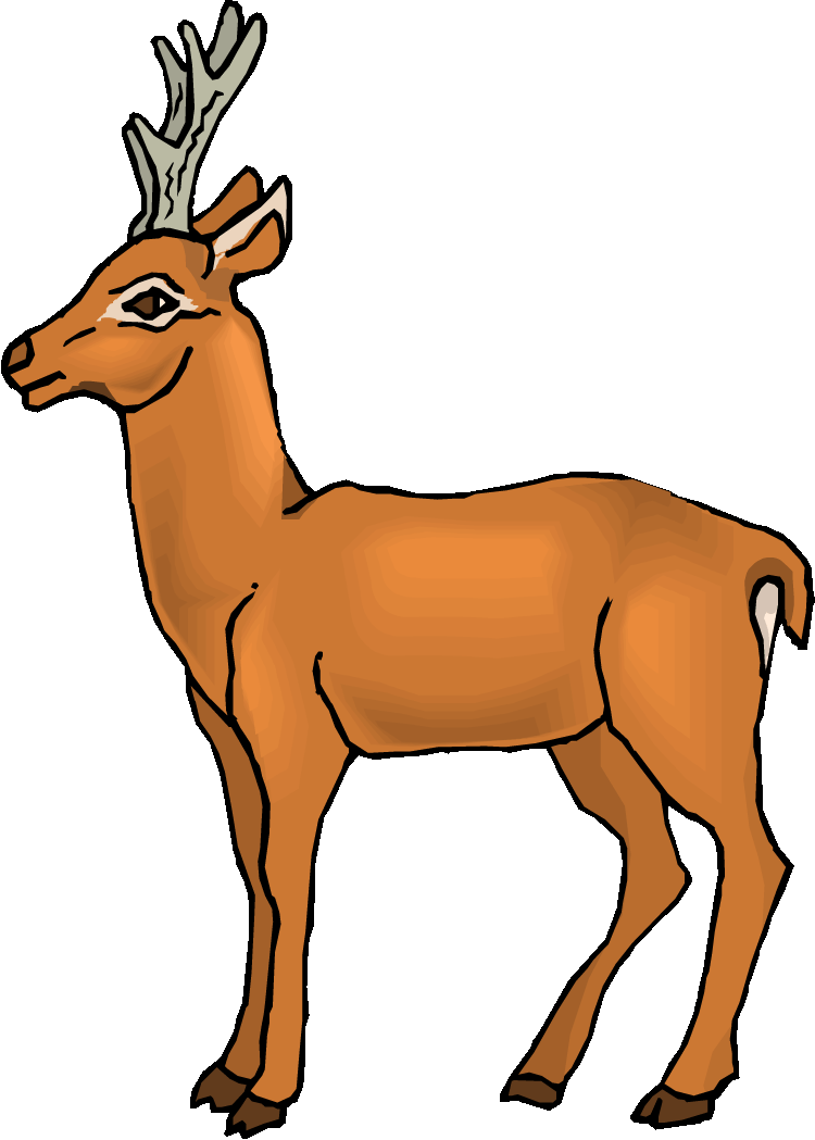 750x1049 Cute Deer Clipart Free Clipart Images