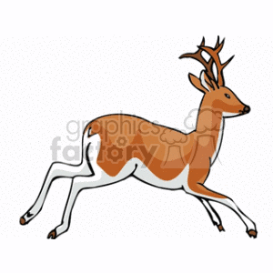 300x300 Royalty Free Deer 128895 Clip Art Images, Illustrations
